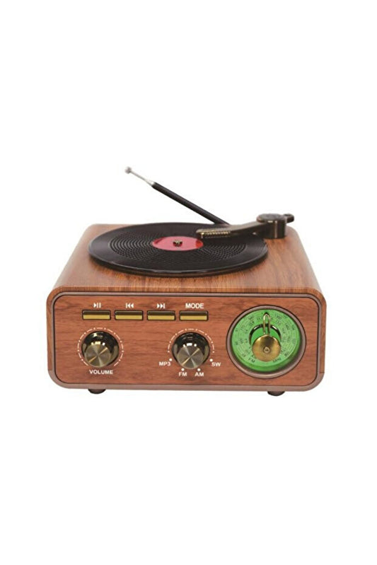 Plak Görünümlü Bluetooth Radyo Hoparlör